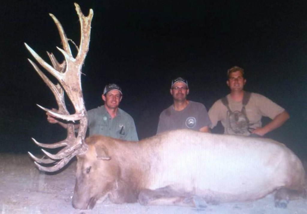 California Tule Elk Hunt 10732