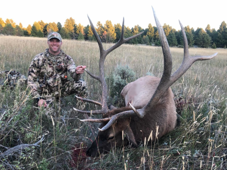 Montana Archery Elk