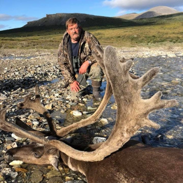 Alaska Caribou 2023