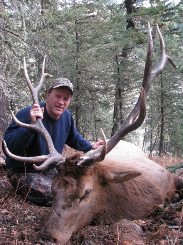 Alberta Archery Elk Hunt