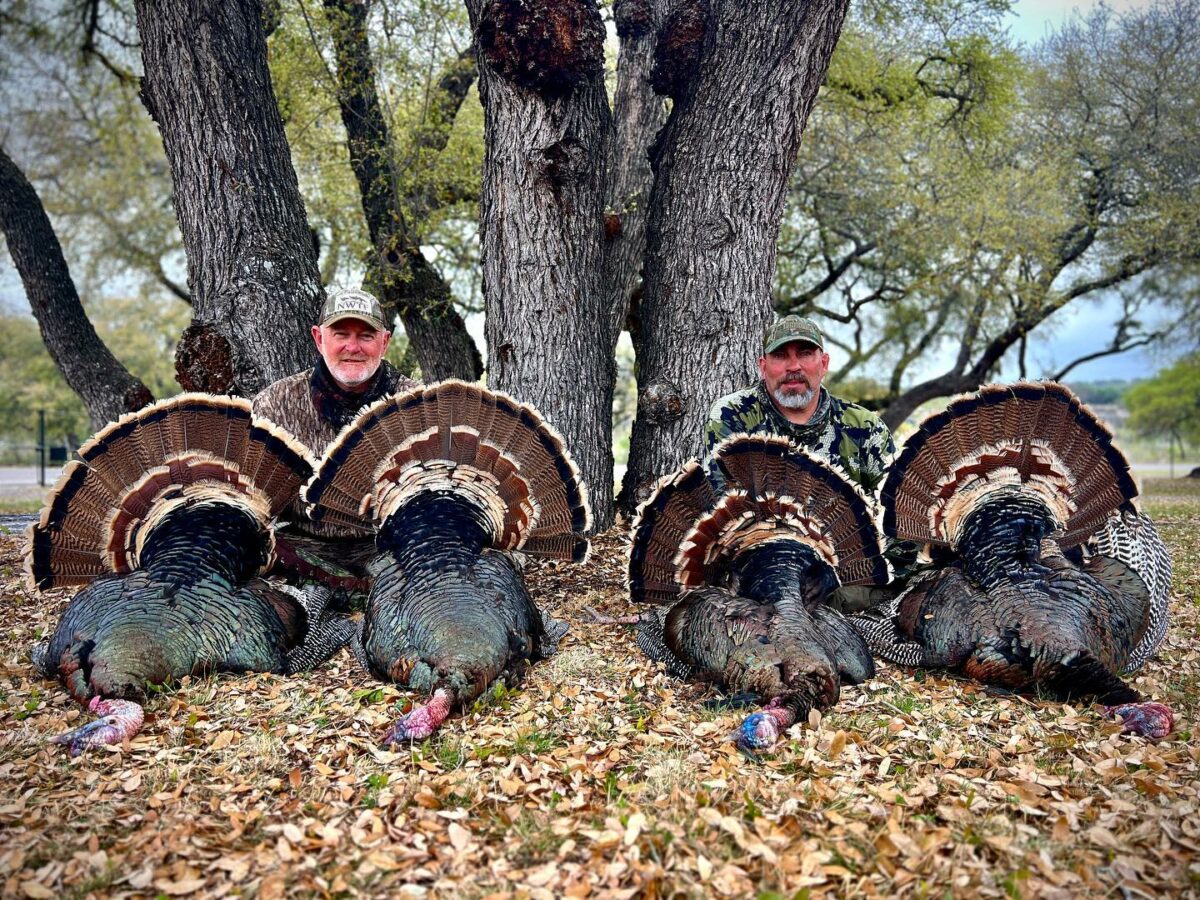 Texas Turkey Hunting 10839