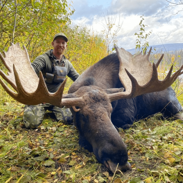 argo-based-yukon-moose-hunt