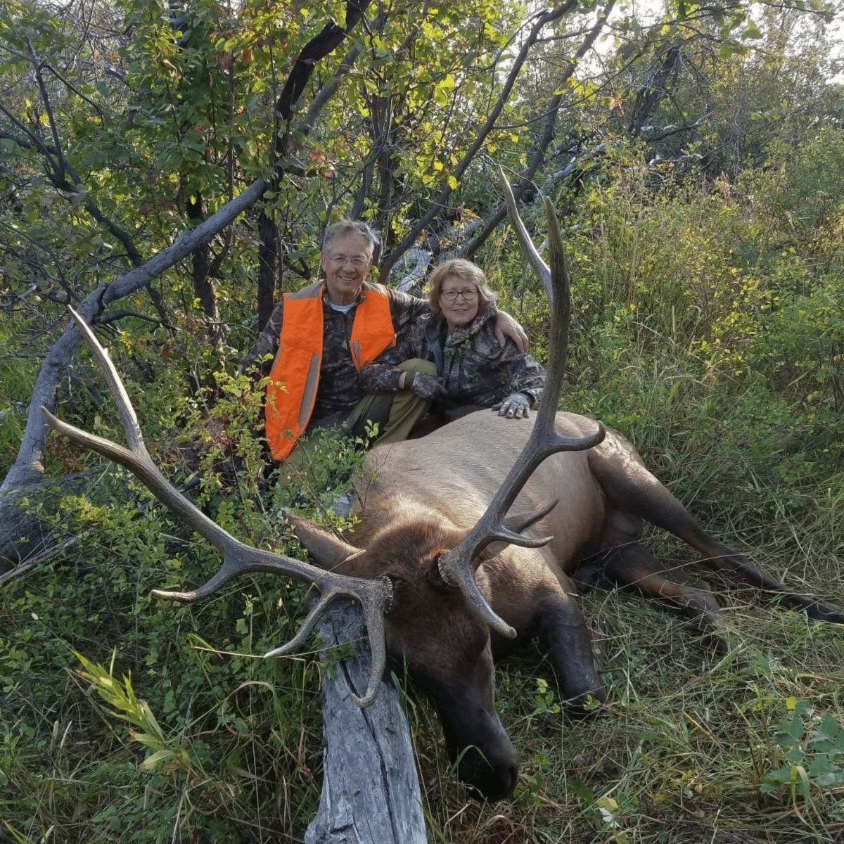 Colorado intelligence overview